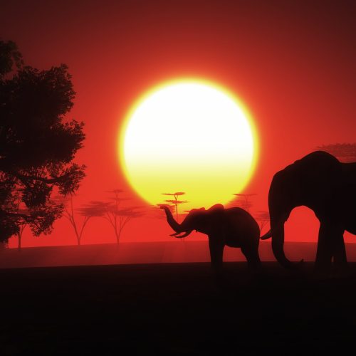 3D render of an African landscape with elephants at sunset