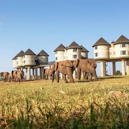 WhatsApp Image 2025-11-13 at 09.29.11 (1)