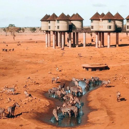 WhatsApp Image 2025-11-13 at 09.29.11